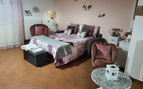 Shabby Chic Rooms Con Cucina E Giardino Privato